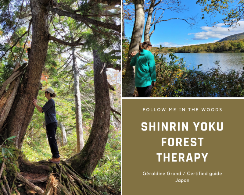 enjoy an immersion in the woods with Géraldine Grand Shinrin Yoku / Forest Therapy guide