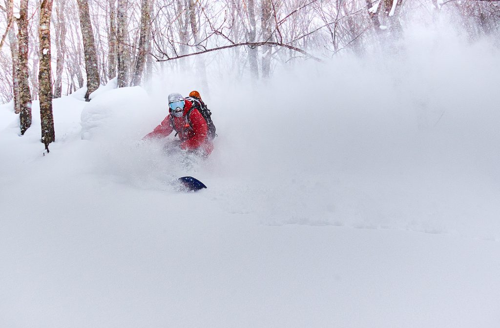 Tree runs Cortina Japow