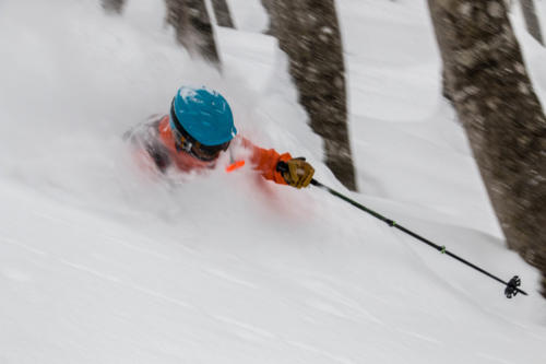 ガイド付きスキー＆スノーボードウィーク-2021年1月-日本 - 6